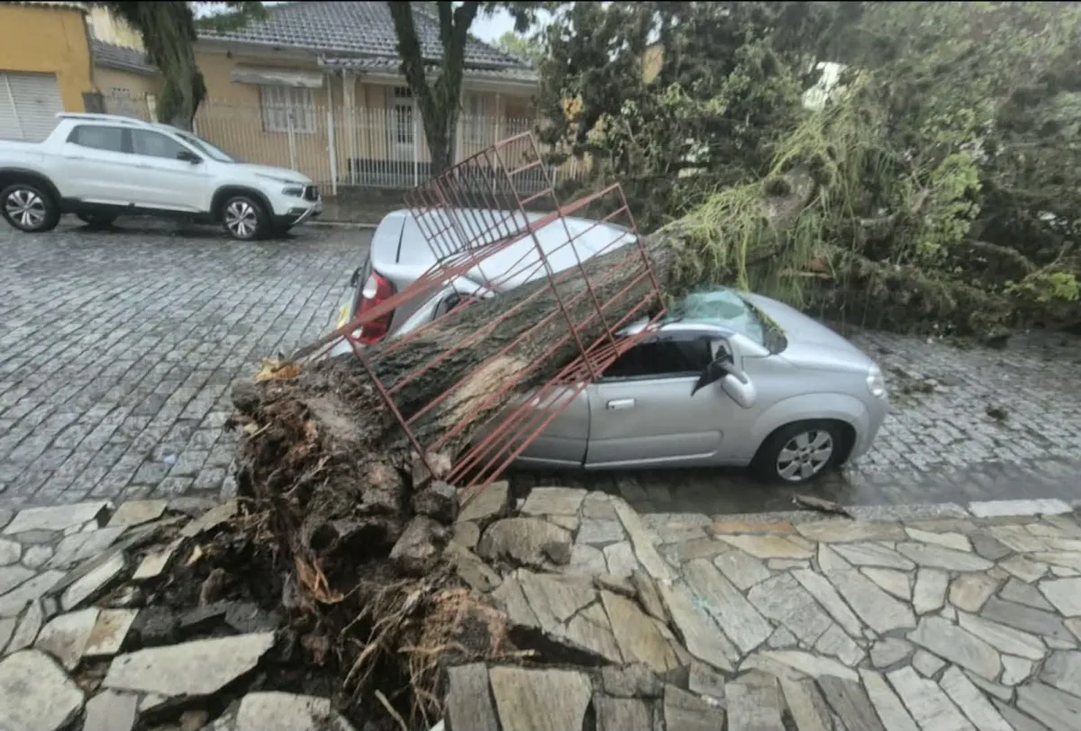 Defesa Civil alerta para risco de tornado em São Paulo